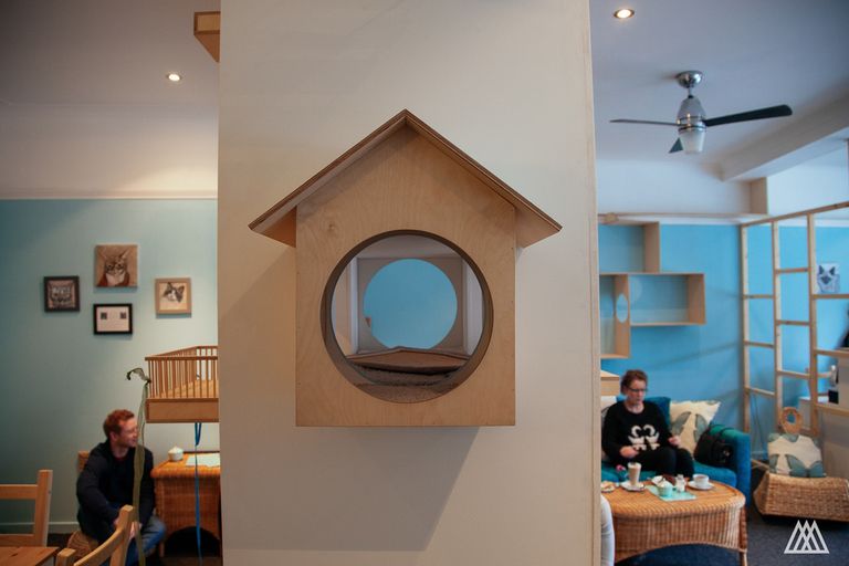 مقهى Maison De Moggy الاسكتلندي