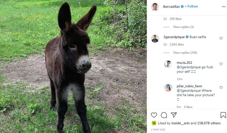 إيكر كاسياس وجيرارد بيكيه