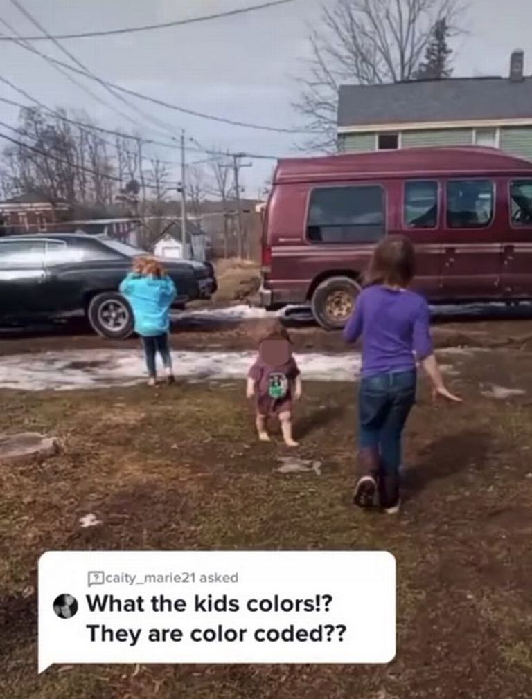 أبناء فيرونيكا الـ11