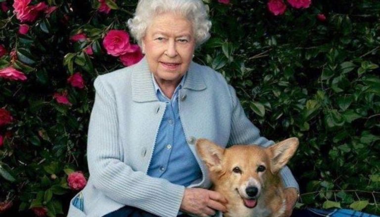 الملكة إليزابيث مع أحد كلابها