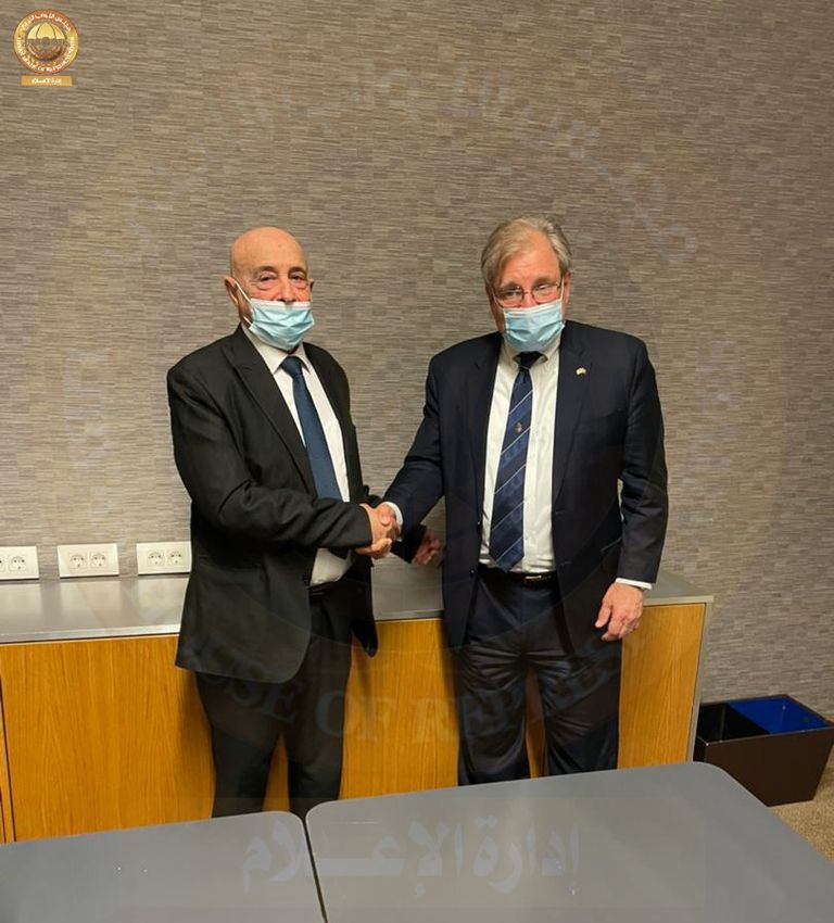 اللافي مع البعثة الأممية