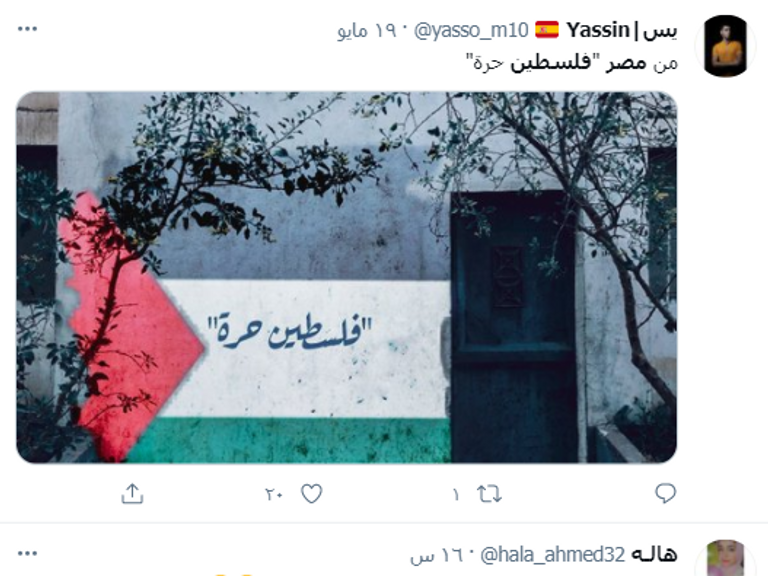 إشادات واسعة بدعم مصر للقضية الفلسطينية