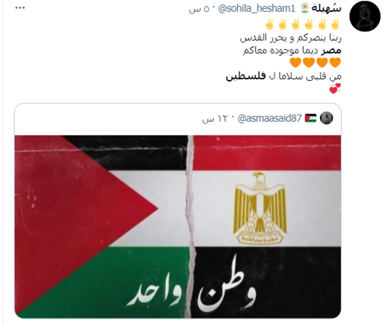 إشادات واسعة بدعم مصر للقضية الفلسطينية