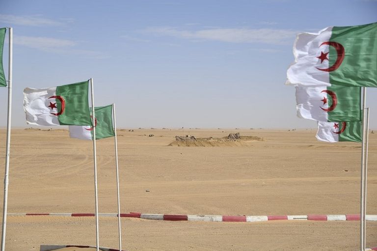 الحدود الجزائرية مع ليبيا مناورات عسكرية للجيش الجزائري على حدود ليبيا - (أرشيفية)
