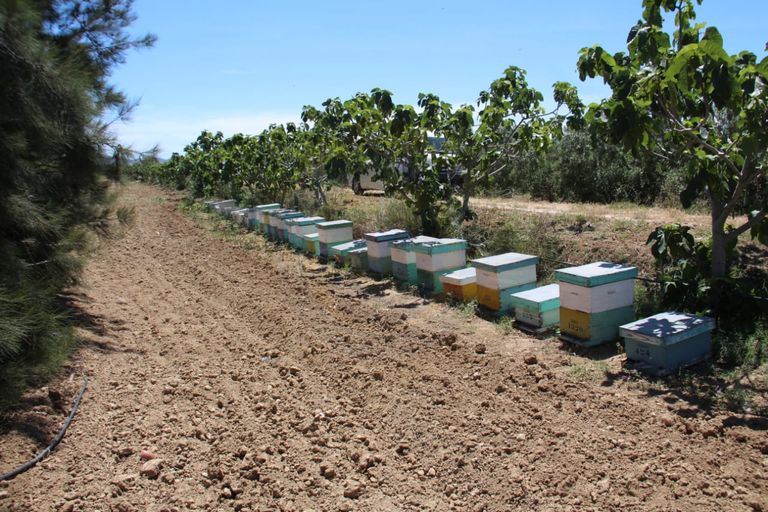 صورة لأحد المساجين داخل مشروعه