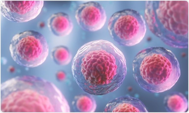 الخلايا الجذعية