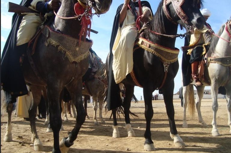 فلكلور الفنتازيا التراثي في الجزائر - أرشيفية