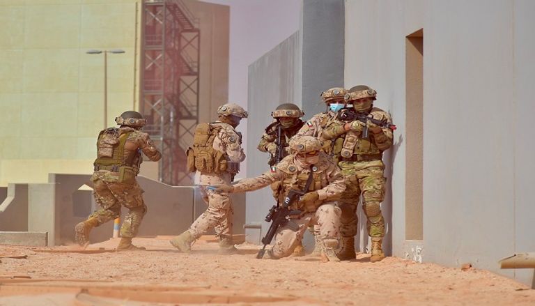 القوات المصرية والإماراتية خلال تمرين