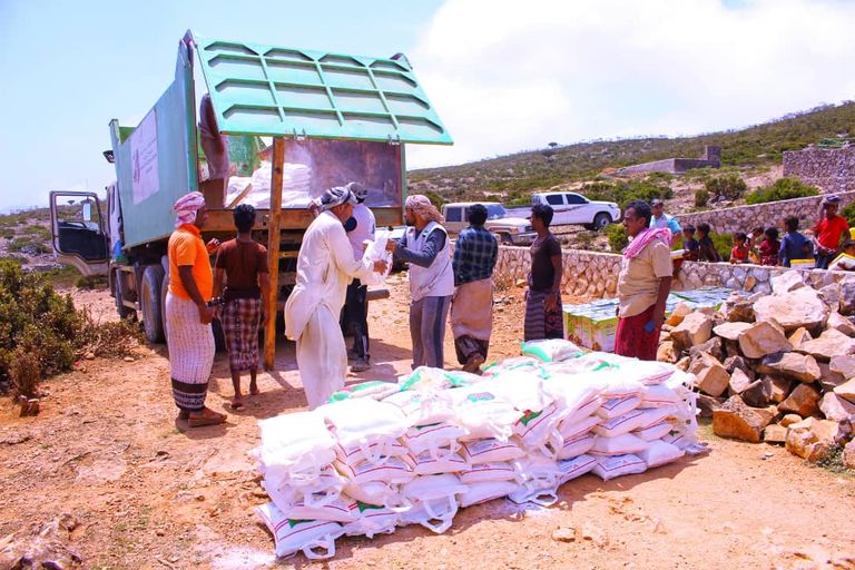 الشجرة الأيقونة في سقطرى