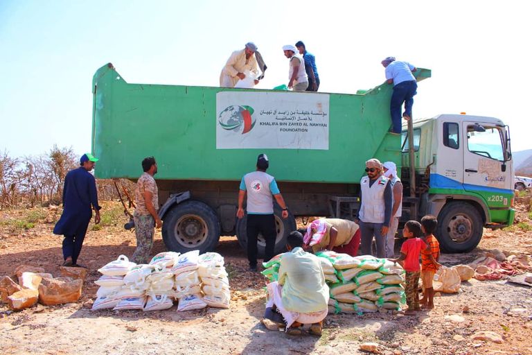 الشجرة الأيقونة في سقطرى