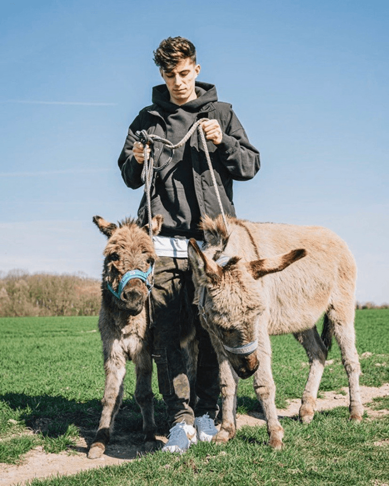 الألماني كاي هافيرتز نجم تشيلسي الإنجليزي