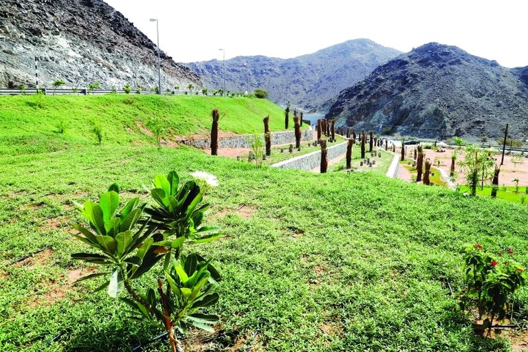 الدكتور عبدالله بن محمد بلحيف النعيمي