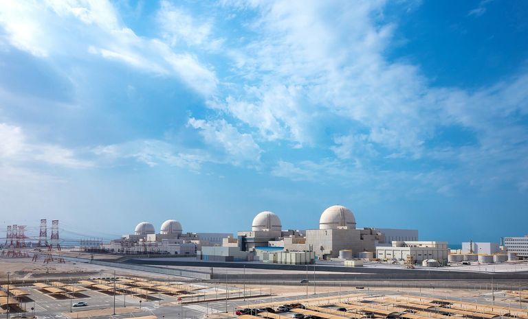 جهود إماراتية رائدة للحفاظ على البيئة على مختلف الأصعدة