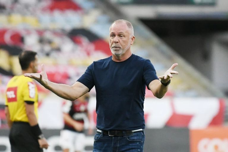 الدوري السعودي للمحترفين