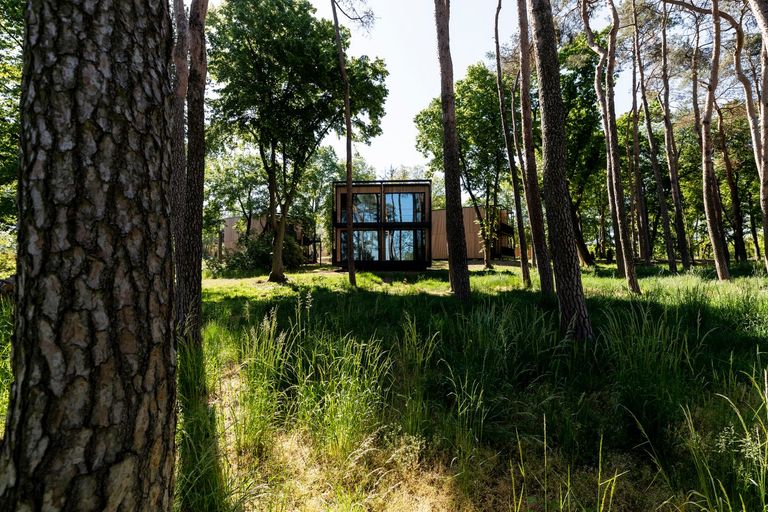 الأكواخ المنتظر أن ينتقل إليها منتخب ألمانيا في معسكره الجديد يواخيم لوف مدرب منتخب ألمانيا