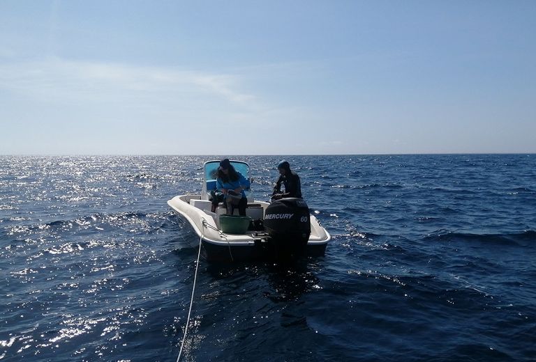 عضو في جمعية