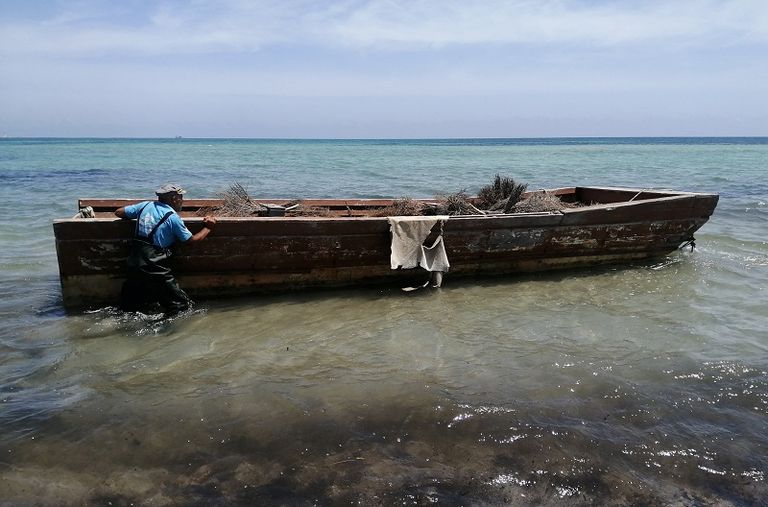 عضو في جمعية