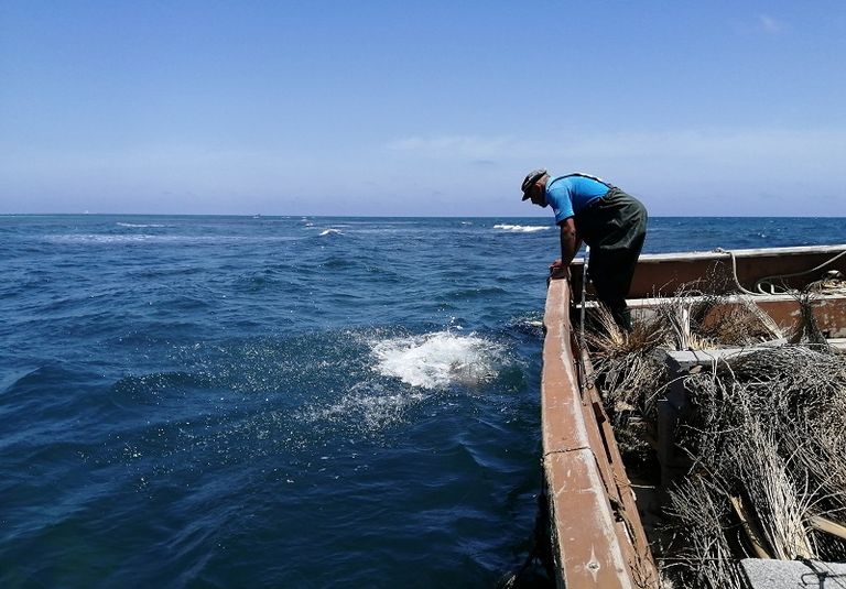 عضو في جمعية