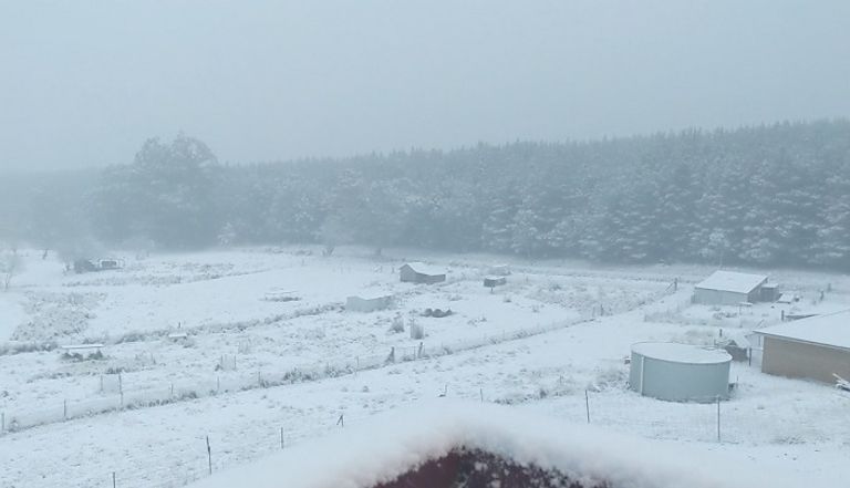 موجة ثلجية تجتاح أستراليا