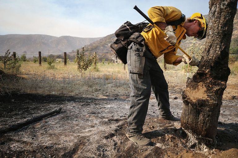 سيارة محترقة في إحدى غابات كاليفورنيا