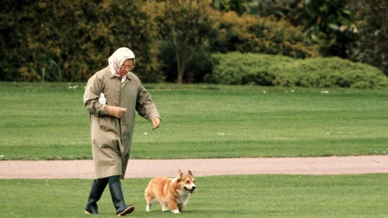 الملكة إليزابيث الثانية أثناء حضورها حفل Trooping the Colour