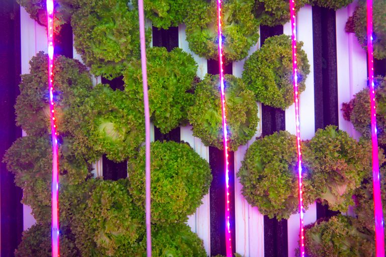 مدينة مصدر الإماراتية في أبوظبي