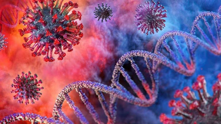 الدكتورة رنا الحجة