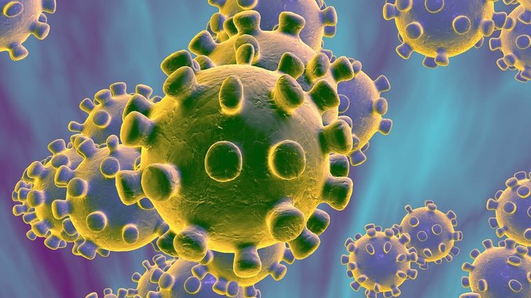 الدكتورة رنا الحجة