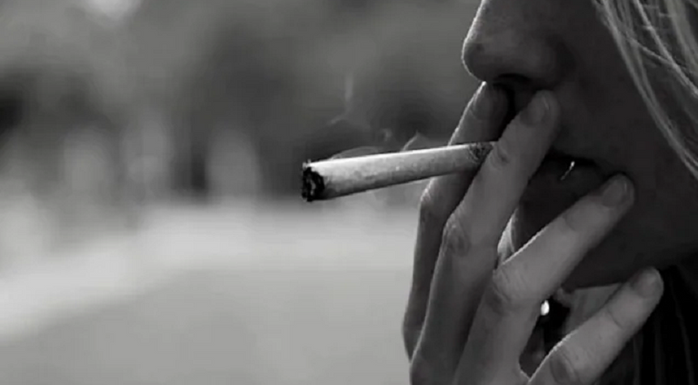 شخص يجمع القنب ليصنع سيجارة