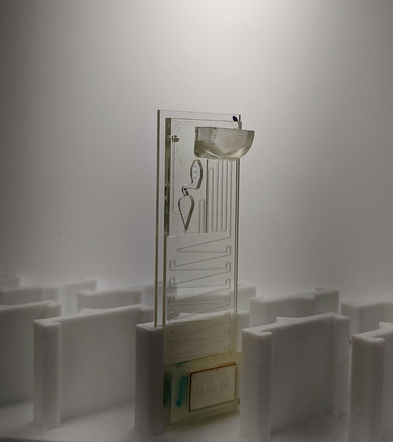 جهاز اختبار الـ D4 