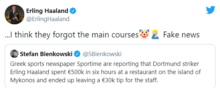 إيرلينج هالاند مهاجم بروسيا دورتموند