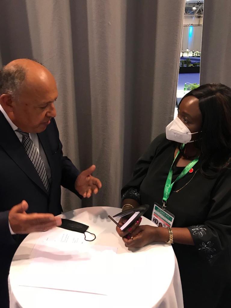 وزير الخارجية المصري سامح شكري