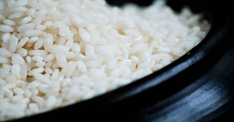 اللقاح يعتمد على حبوب الأرز المعدلة وراثيا- أرشيفية