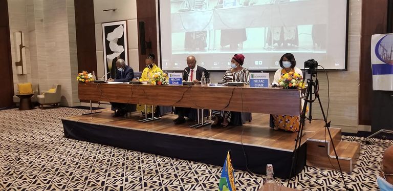 المشاركون باجتماع مجلس وزراء دول حوض النيل الجنوبي بأديس أبابا