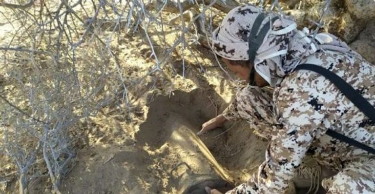 الفرق الهندسية.. معركة الحياة ضد مفخخات الموت الحوثية فرقة هندسية يمنية تزيل ألغاما بحريا