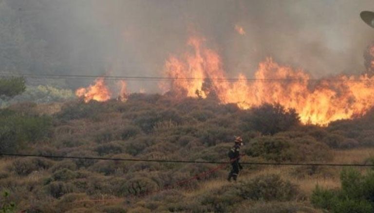 حرائق الغابات في اليونان- أرشيفية