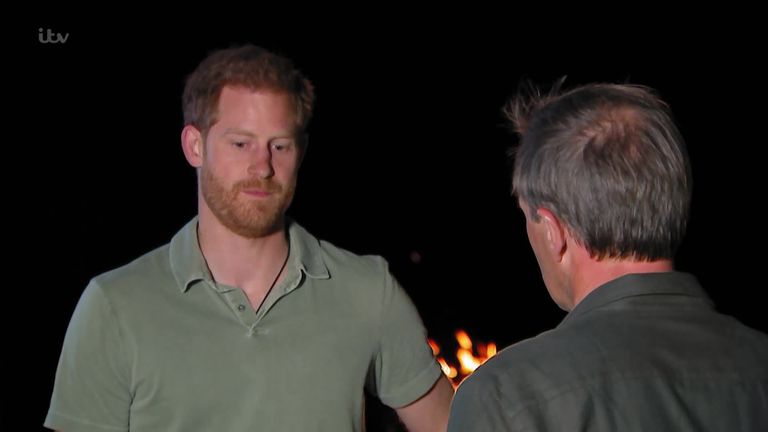 الشقيقان ويليام وهاري في حدث إزاحة الستار عن تمثال الأميرة ديانا