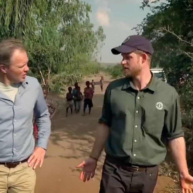 الشقيقان ويليام وهاري في حدث إزاحة الستار عن تمثال الأميرة ديانا