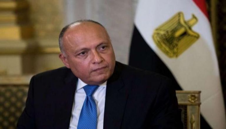وزير الخارجية المصري سامح شكري - أرشيفية