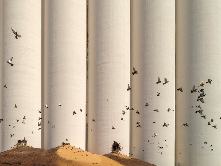 مرفأ بيروت بعدسة ضيا مراد