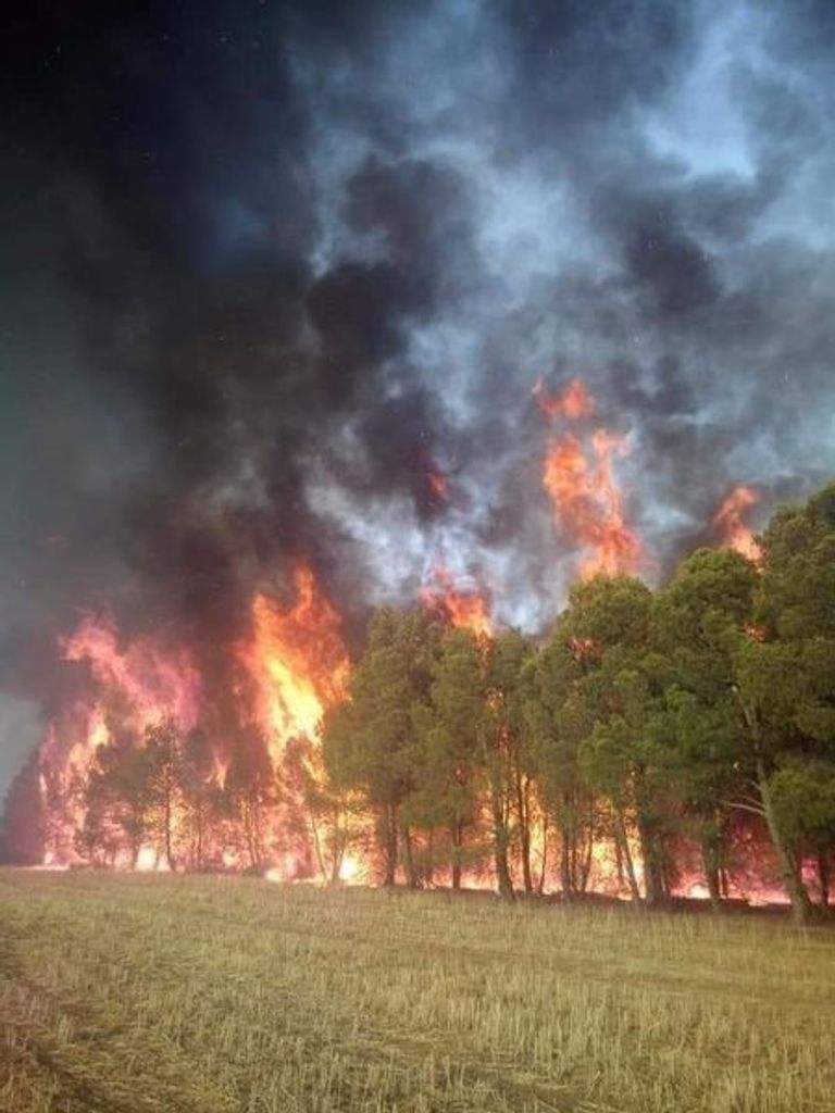 حرائق غابات خنشلة الجزائرية تدخل فرق الدفاع المدني لإخماد حرائق غابات خنشلة بالجزائر