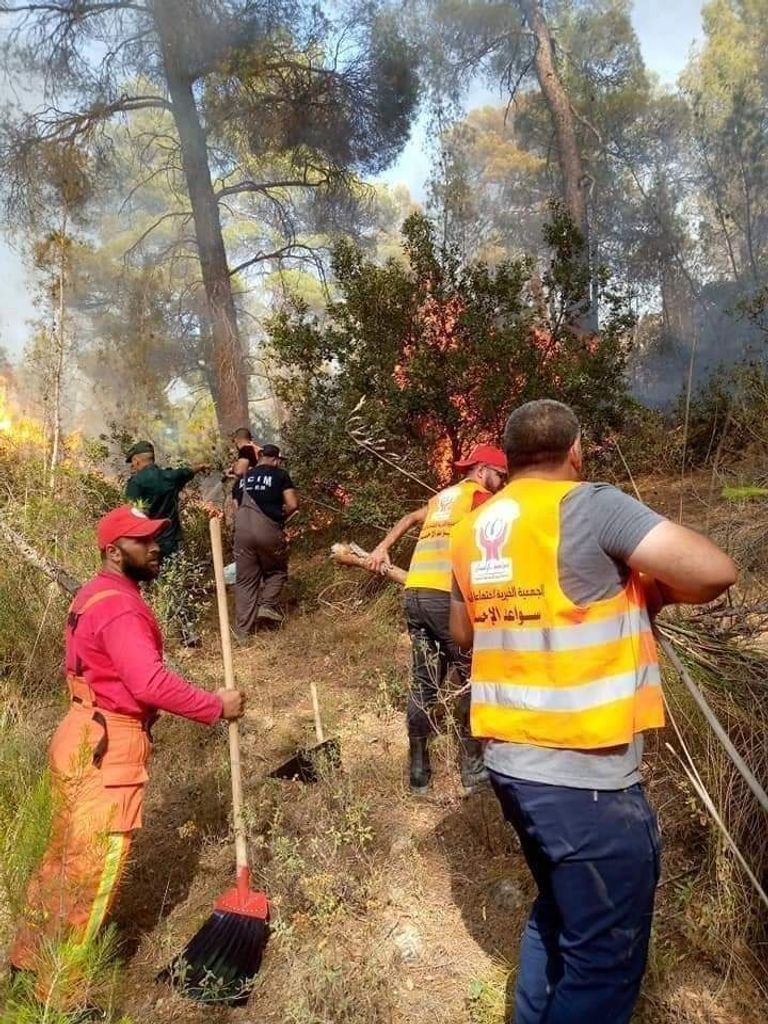 تدخل فرق الدفاع المدني لإخماد حرائق غابات خنشلة بالجزائر تدخل فرق الدفاع المدني لإخماد حرائق غابات خنشلة بالجزائر