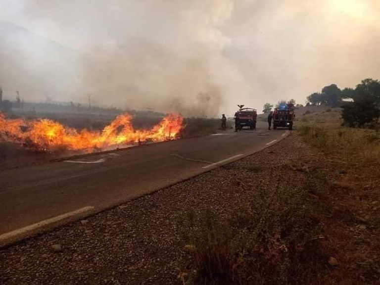 تدخل فرق الدفاع المدني لإخماد حرائق غابات خنشلة بالجزائر تدخل فرق الدفاع المدني لإخماد حرائق غابات خنشلة بالجزائر