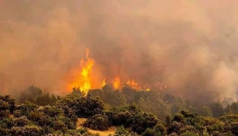 حرائق غابات ولاية خنشلة الجزائرية تدخل فرق الدفاع المدني لإخماد حرائق غابات خنشلة بالجزائر