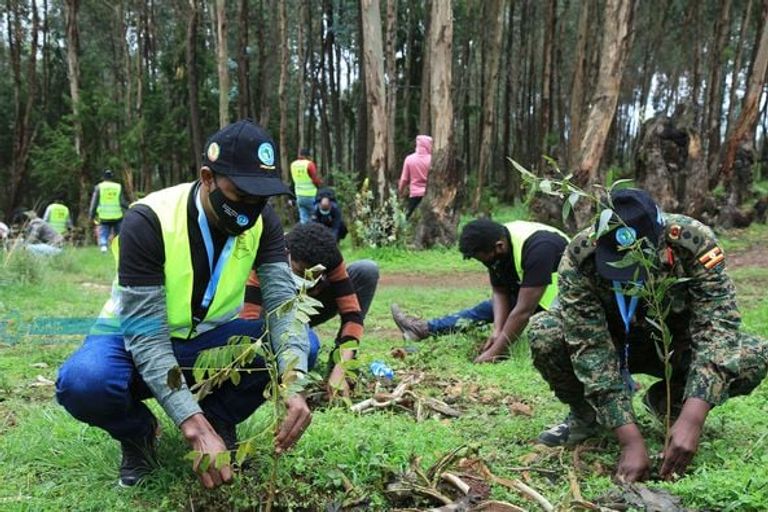 جانب من مشاركة شباب شرق إفريقيا بالندوة 