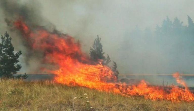 جانب من حرائق الغابات في روسيا