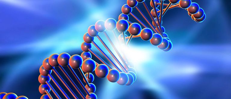 منظمة الصحة العالمية تكبح محاولات التلاعب بـ"الجينوم البشري"