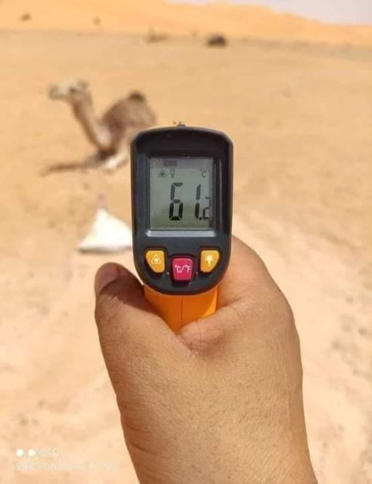 درجات حرارة وصلت إلى 61 جنوب الجزائر أمراض وكوارث حلت على الجزائر بشكل غير مسبوق في يوليو