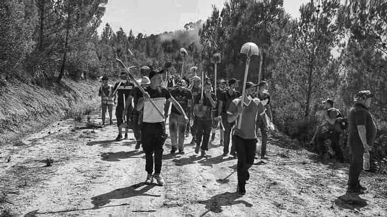 سكان خنشلة يتدخولون لإخماد نيران الغابات بوسائل بدائية أمراض وكوارث حلت على الجزائر بشكل غير مسبوق في يوليو