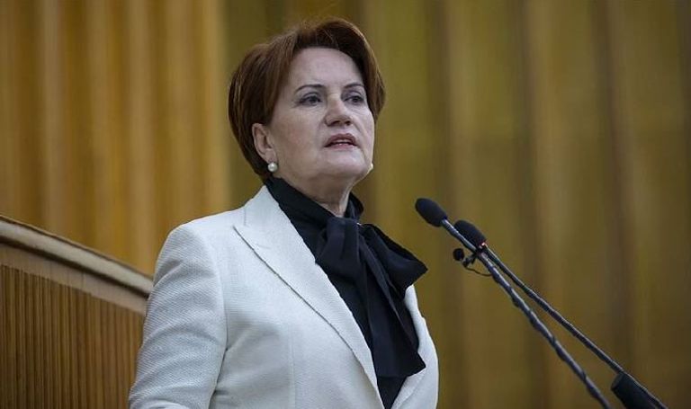 الرئيس أردوغان وحليفه باهجه لي